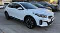 Kia XCeed Xceed 1,0 TGDI 48V GPF Gold DCT Weiß - thumbnail 2