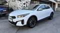 Kia XCeed Xceed 1,0 TGDI 48V GPF Gold DCT Weiß - thumbnail 1
