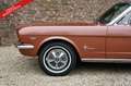 Ford Mustang 289 PRICE REDUCTION! Only one owner from new! High Bruin - thumbnail 37