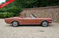 Ford Mustang 289 PRICE REDUCTION! Only one owner from new! High Braun - thumbnail 33
