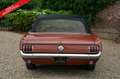 Ford Mustang 289 PRICE REDUCTION! Only one owner from new! High Hnědá - thumbnail 12