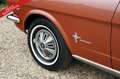 Ford Mustang 289 PRICE REDUCTION! Only one owner from new! High Bruin - thumbnail 44