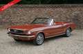 Ford Mustang 289 PRICE REDUCTION! Only one owner from new! High Brun - thumbnail 1