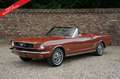 Ford Mustang 289 PRICE REDUCTION! Only one owner from new! High Marrón - thumbnail 35