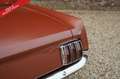 Ford Mustang 289 PRICE REDUCTION! Only one owner from new! High Bruin - thumbnail 5