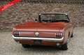 Ford Mustang 289 PRICE REDUCTION! Only one owner from new! High Braun - thumbnail 30