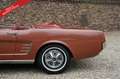 Ford Mustang 289 PRICE REDUCTION! Only one owner from new! High Maro - thumbnail 10