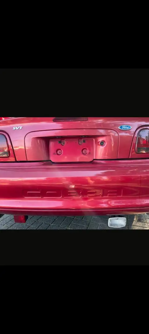 Ford Mustang Ford mustang SVT cobra Shelby - 2