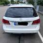Mercedes-Benz E 220 E 220 BlueTec (212.201) Blanc - thumbnail 4