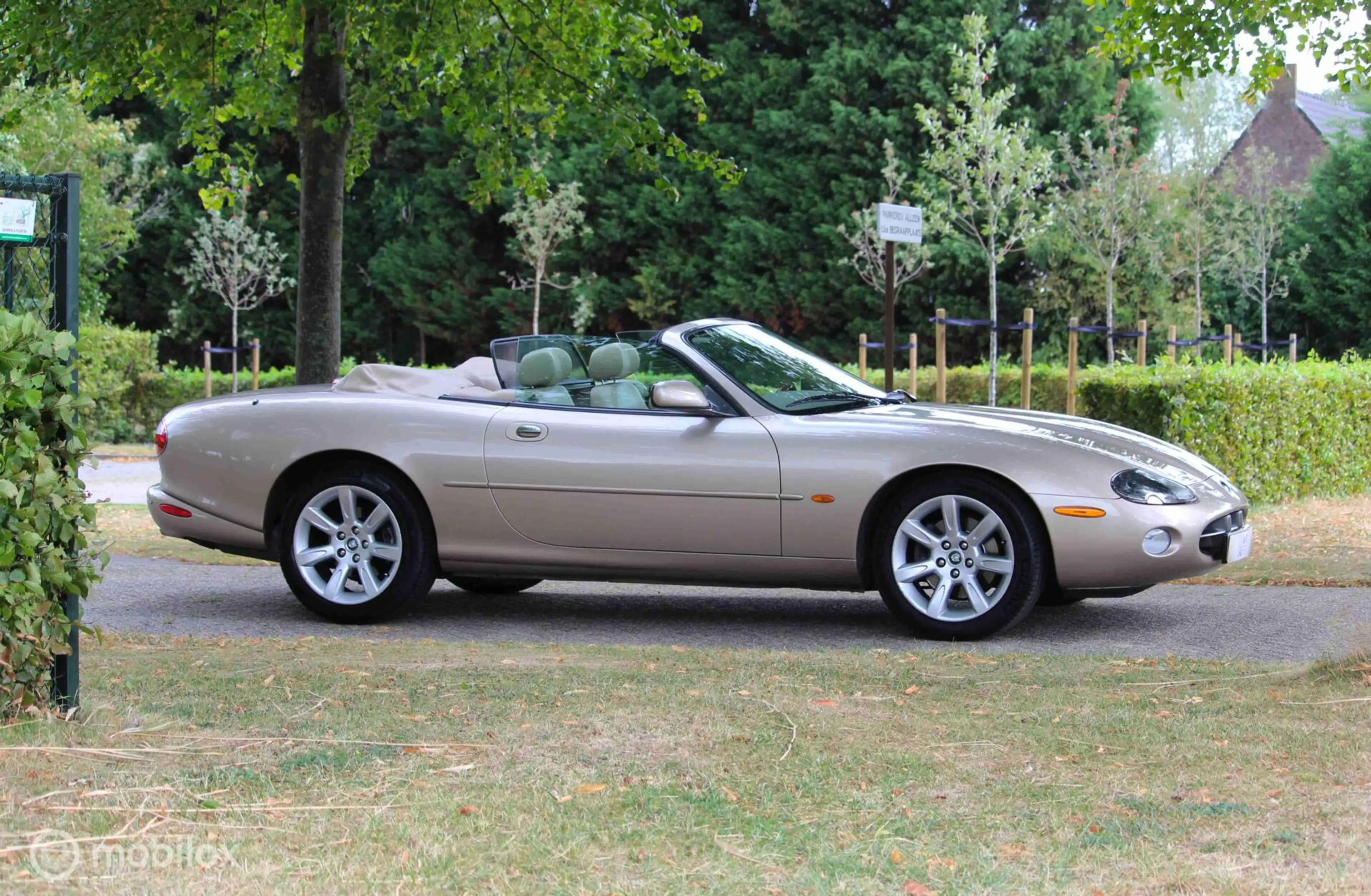 Jaguar XK8 4.2 V8 Convertible | Topstaat! | Zeldzaam fraai. — photo 5