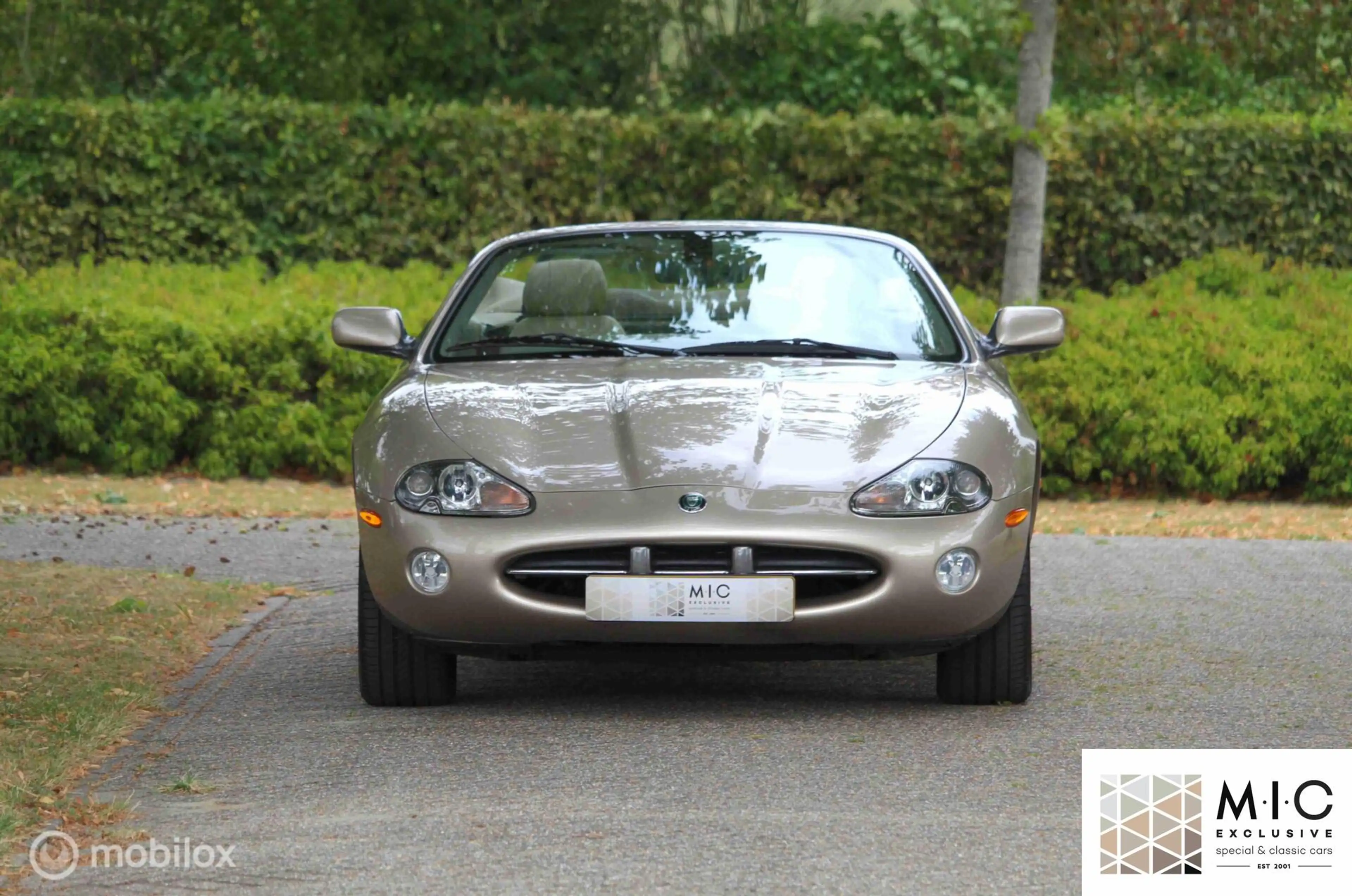 Jaguar XK8 4.2 V8 Convertible | Topstaat! | Zeldzaam fraai. — photo 3
