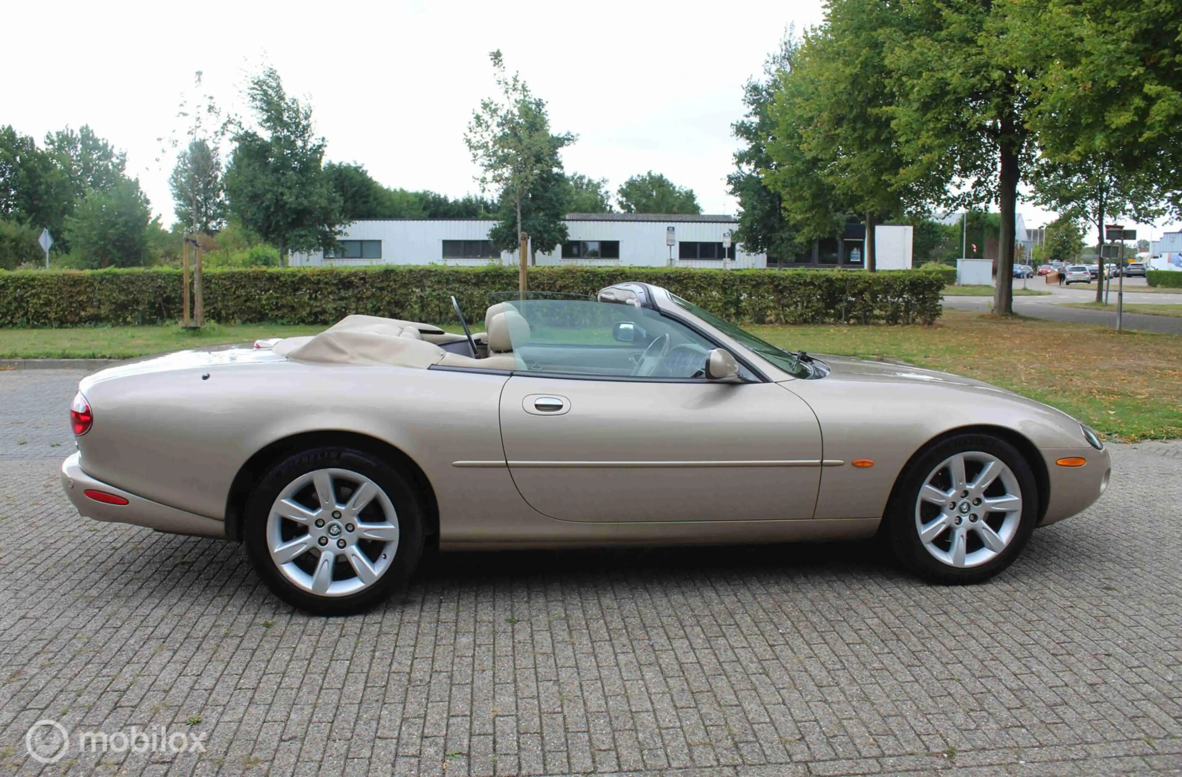 Jaguar XK8 4.2 V8 Convertible | Topstaat! | Zeldzaam fraai. — photo 28
