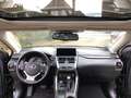 Lexus NX 300 300h/Panorama/Kamera/Leder/ Zwart - thumbnail 15