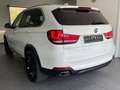 BMW X5 xDrive 40 d-M Sport-H&K-BiXenon-Leder-PDC- Bianco - thumbnail 6