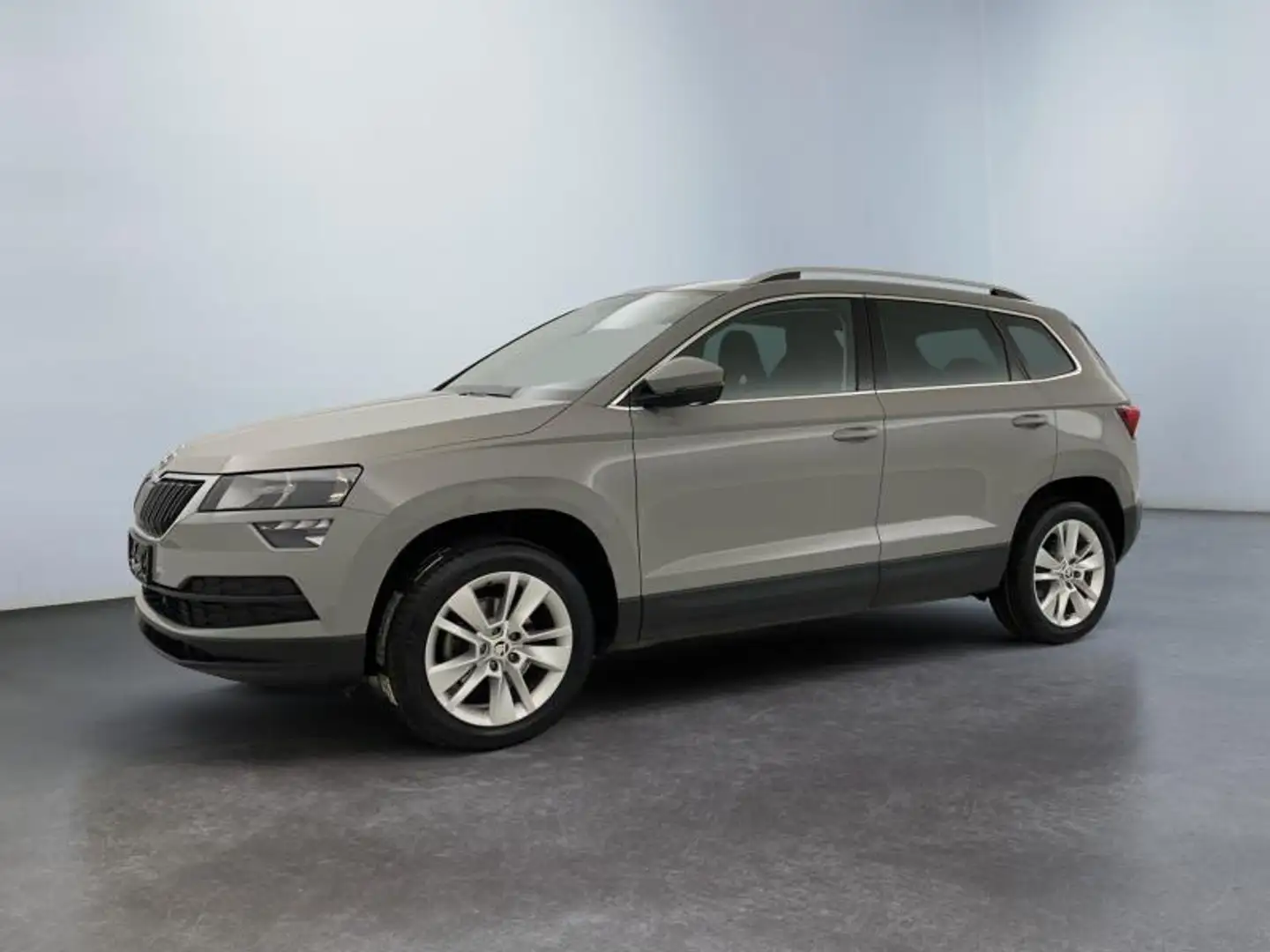 Skoda Karoq Ambition Gris - 1