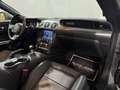 Ford Mustang GT Fastback *ACC*Kamera*MagneRide*LED*BO Grau - thumbnail 15