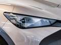 CUPRA Tavascan 77kWh 210kW Endurance First Edition Beige - thumbnail 10