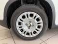 Fiat New Panda Panda III 2024 1.0 firefly hybrid s Bianco - thumbnail 9