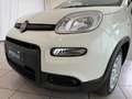Fiat New Panda Panda III 2024 1.0 firefly hybrid s Bianco - thumbnail 19