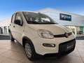 Fiat New Panda Panda III 2024 1.0 firefly hybrid s Bianco - thumbnail 7