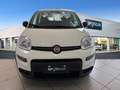 Fiat New Panda Panda III 2024 1.0 firefly hybrid s Bianco - thumbnail 8