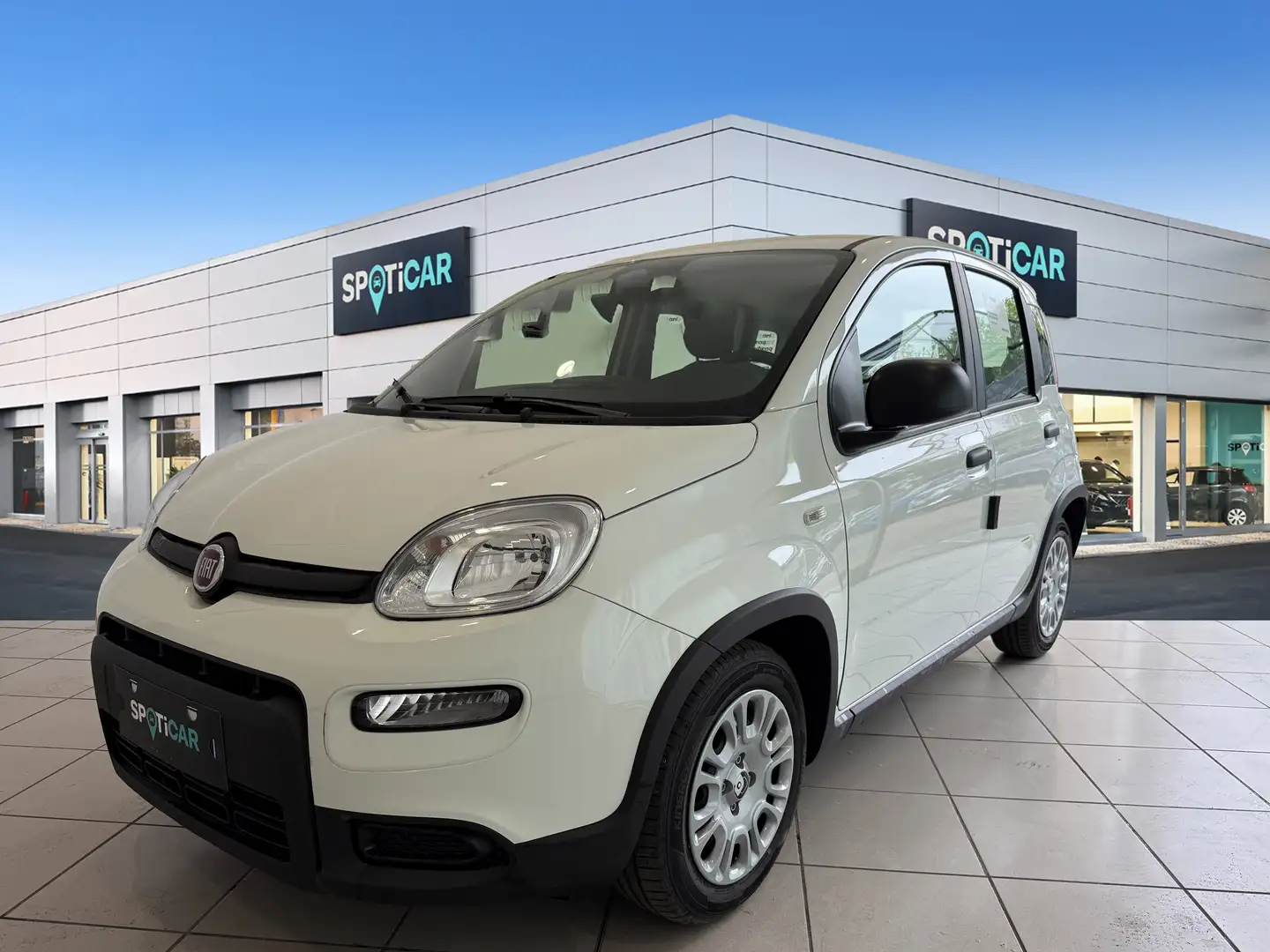 Fiat New Panda Panda III 2024 1.0 firefly hybrid s Bianco - 1
