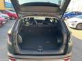 Hyundai TUCSON NX4 GO Plus 1,6 T-GDi 2WD 48V DCT t5bu2-PP1 Grün - thumbnail 12