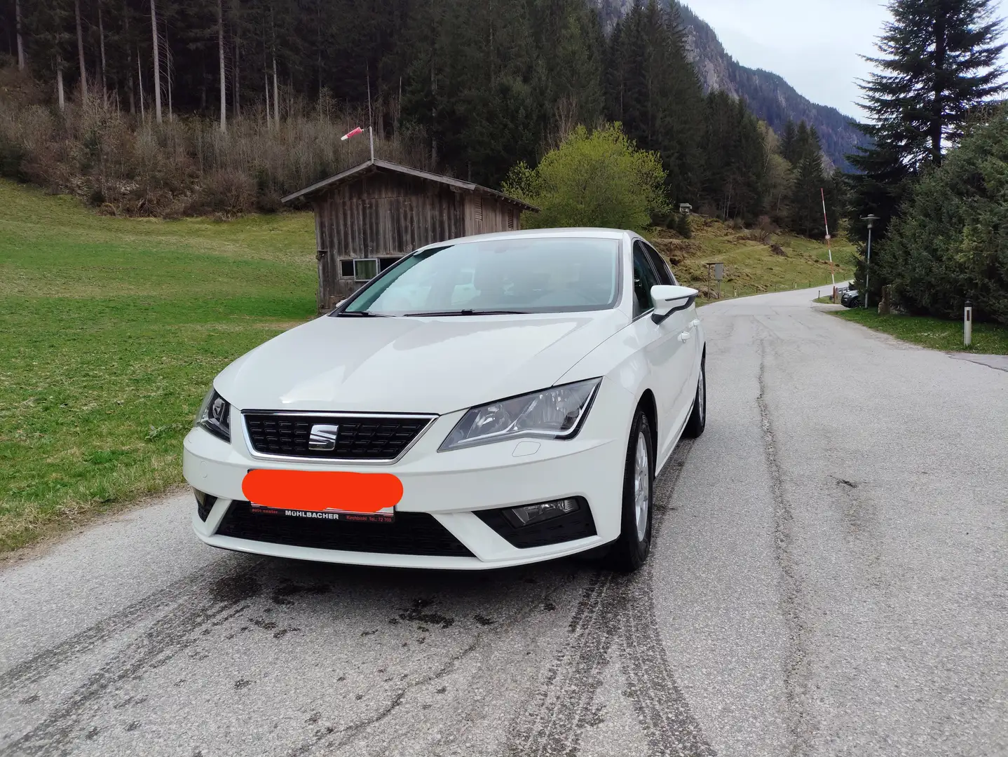 SEAT Leon Leon ST Reference 1,0 TSI Reference Weiß - 1