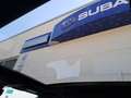 Subaru Solterra Solterra AWD Platinum (73,1 kWh) Grau - thumbnail 14