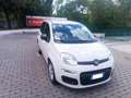 Fiat Panda 1.2 Easy 69cv PERFETTA - thumbnail 3