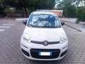 Fiat Panda 1.2 Easy 69cv PERFETTA - thumbnail 2