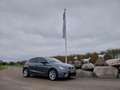 SEAT Ibiza 1.0 TSI FR LED NAVI CRUISE ECC Gris - thumbnail 7