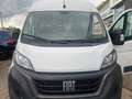 Fiat Ducato Hochr.-Kasten 30 120 L2H2 RS: 3450 mm bijela - thumbnail 2