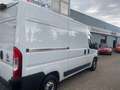 Fiat Ducato Hochr.-Kasten 30 120 L2H2 RS: 3450 mm bijela - thumbnail 3