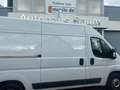 Fiat Ducato Hochr.-Kasten 30 120 L2H2 RS: 3450 mm bijela - thumbnail 4