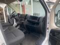 Fiat Ducato Hochr.-Kasten 30 120 L2H2 RS: 3450 mm bijela - thumbnail 6