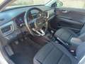 Kia Stonic 1.4 MPI EcoGPL Energy Bianco - thumbnail 10
