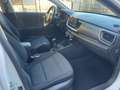 Kia Stonic 1.4 MPI EcoGPL Energy Bianco - thumbnail 13