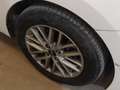 Kia Rio 1.0 T-GDi 74kW (100CV) MHEV iMT Concept Blanco - thumbnail 15