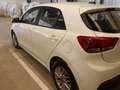 Kia Rio 1.0 T-GDi 74kW (100CV) MHEV iMT Concept Blanco - thumbnail 7