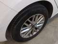 Kia Rio 1.0 T-GDi 74kW (100CV) MHEV iMT Concept Blanco - thumbnail 16