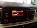 Kia Rio 1.0 T-GDi 74kW (100CV) MHEV iMT Concept Blanco - thumbnail 10
