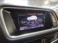 Audi SQ5 SQ5 3.0 TDI quattro 313 Tiptronic Blau - thumbnail 15