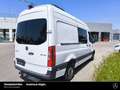 Mercedes-Benz Sprinter Sprinter 319 CDI V6 L2H2 AHK 3,5 TO DACHKLIMA Weiß - thumbnail 2