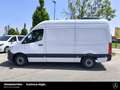 Mercedes-Benz Sprinter Sprinter 319 CDI V6 L2H2 AHK 3,5 TO DACHKLIMA Weiß - thumbnail 3