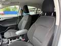 Ford Focus TITA STYLE 5D 1.0L 125 PS MHEV M6 Weiß - thumbnail 9