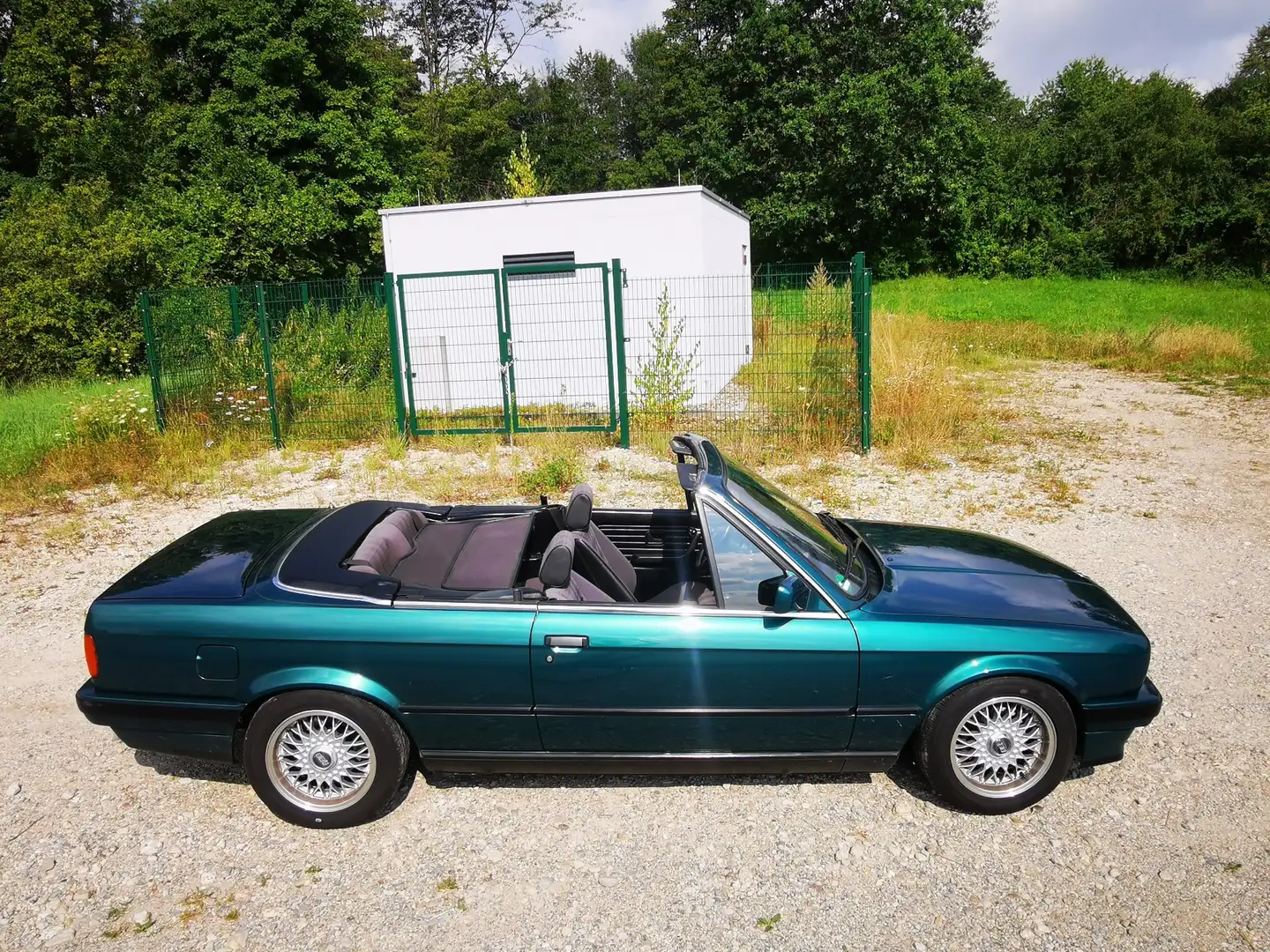 BMW 318 mit H-Kennzeichen - 2