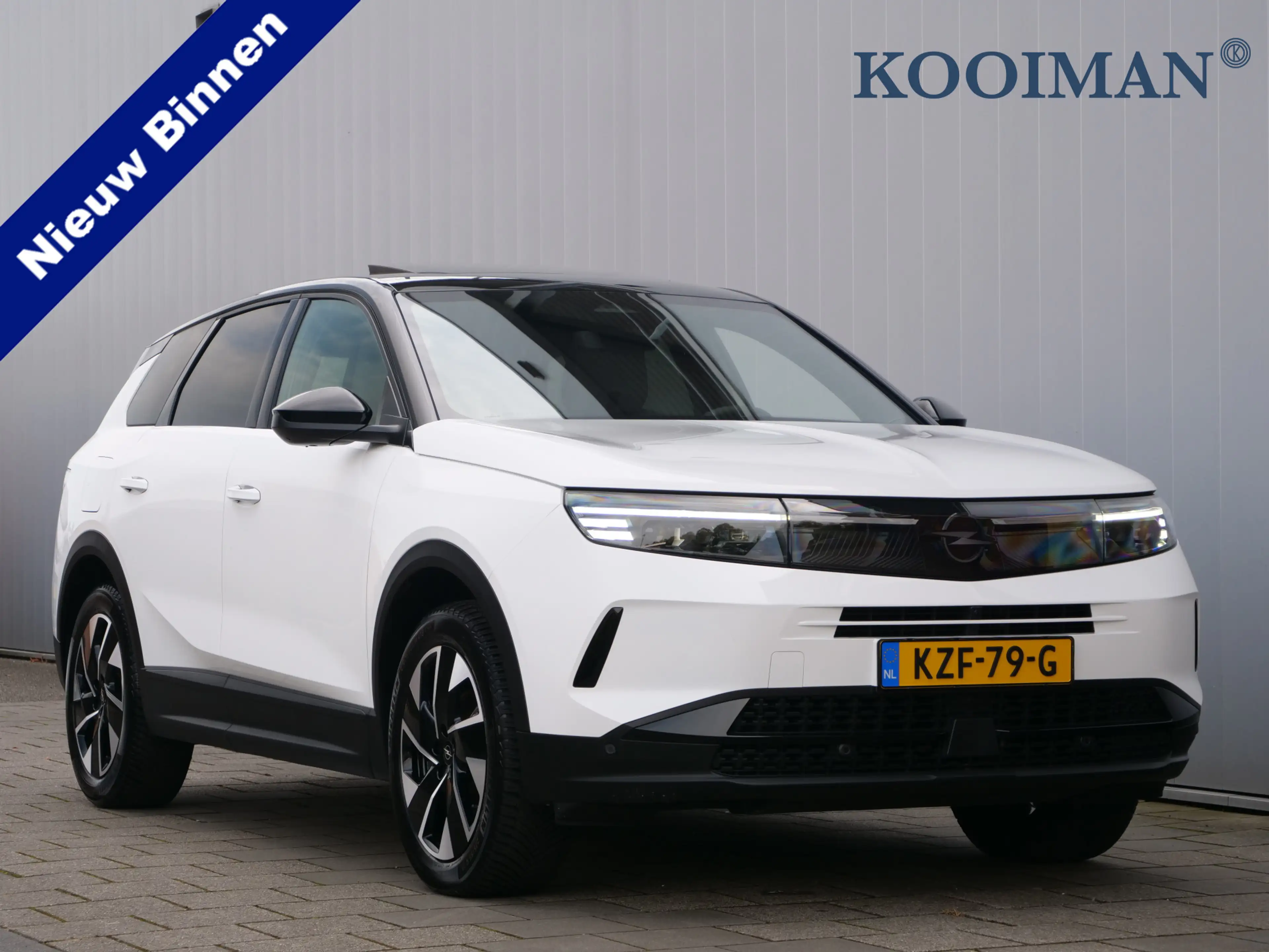 Opel Grandland 1.2 Turbo Hybrid GS 145 Pk Automaat Navi / DAB / A