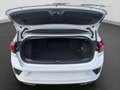 Volkswagen T-Roc Cabrio 1.5 TSI DSG R-LINE AHK NAVI LED SIT Weiß - thumbnail 17