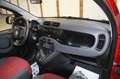 Fiat Panda 1,2 **1.Besitz**22.000 KM**neues Pickerl** Rot - thumbnail 17